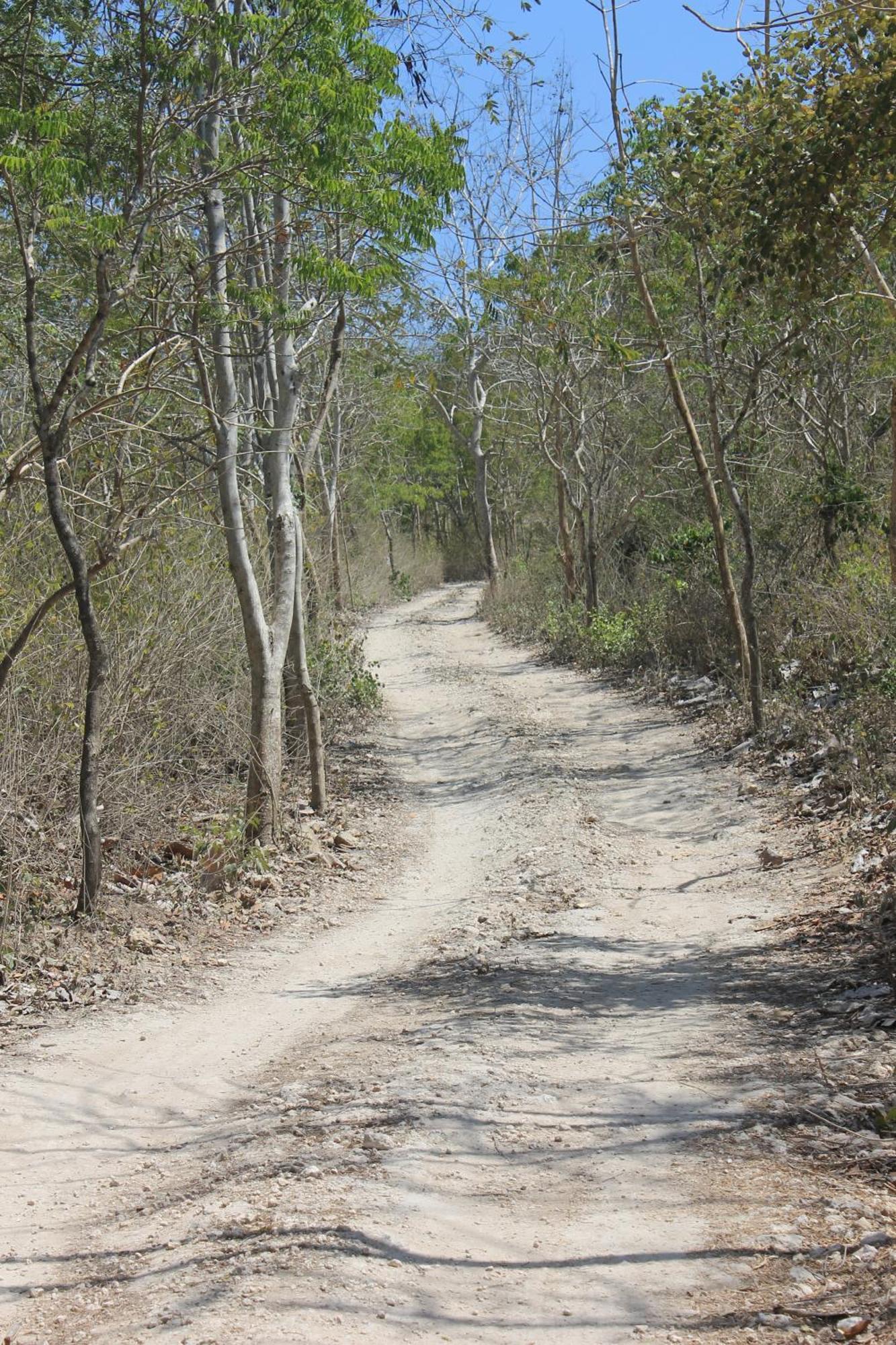 Jeeva Beloam Beach Camp Tanjung Ringgit Екстериор снимка